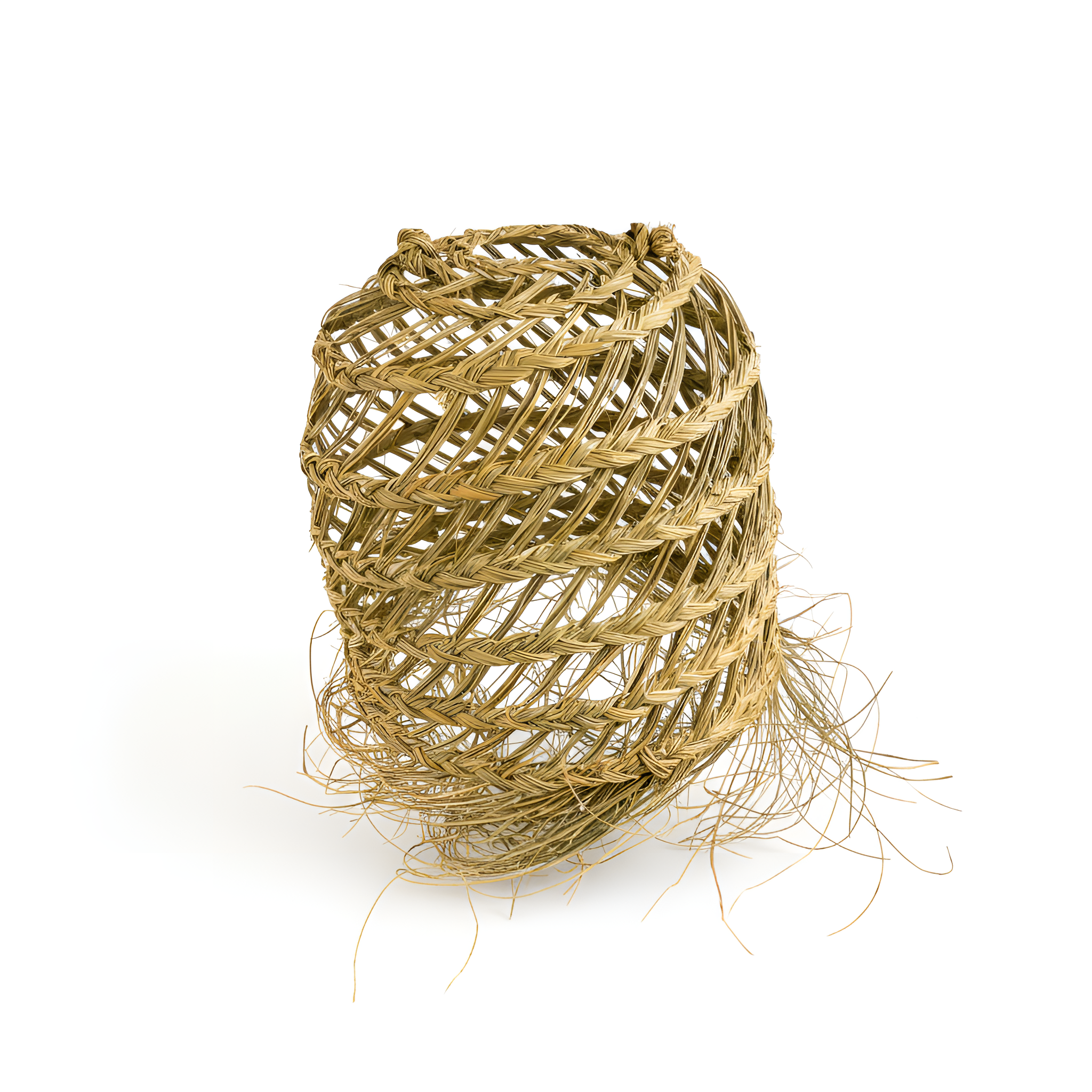 AI product photoshoot output