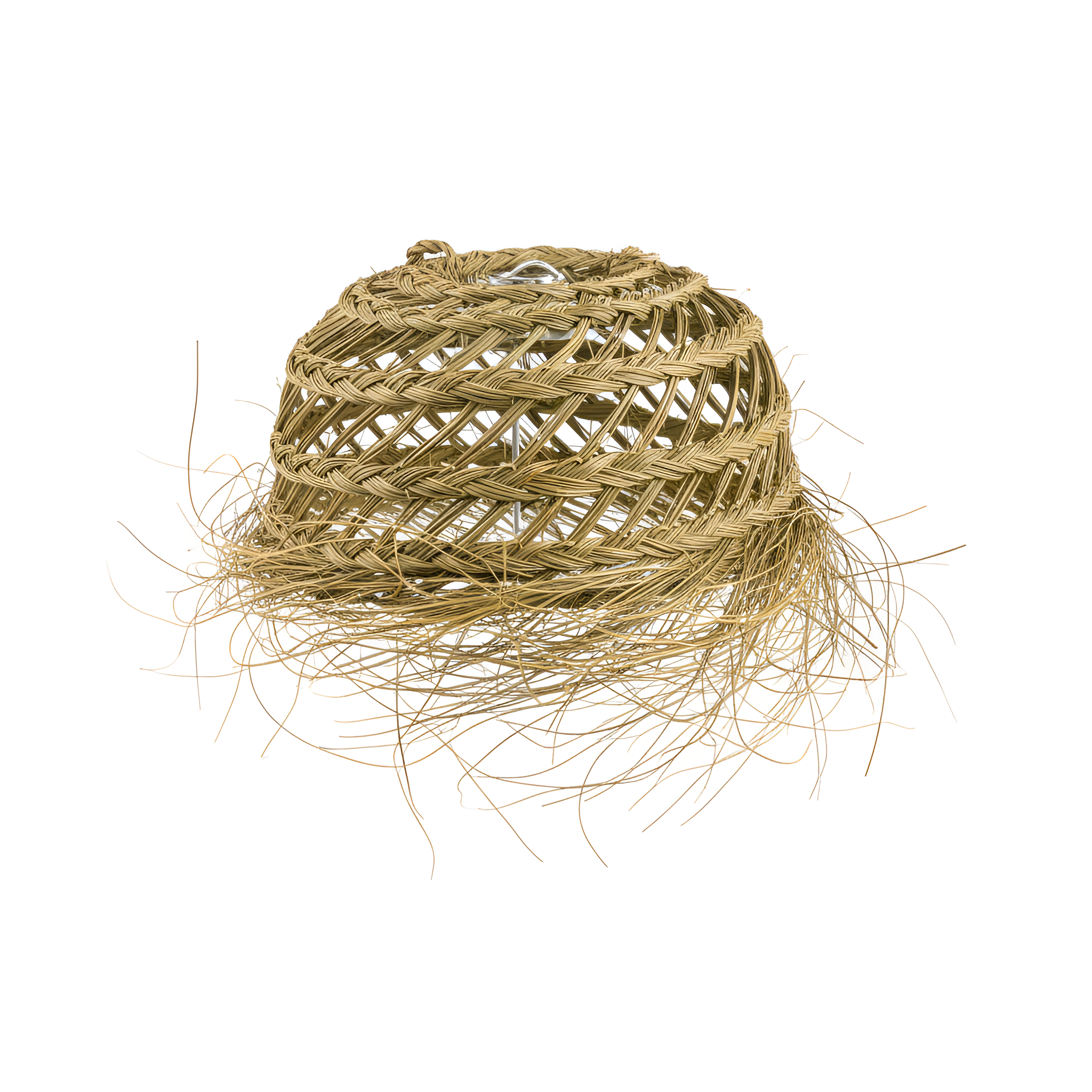 AI product photoshoot output