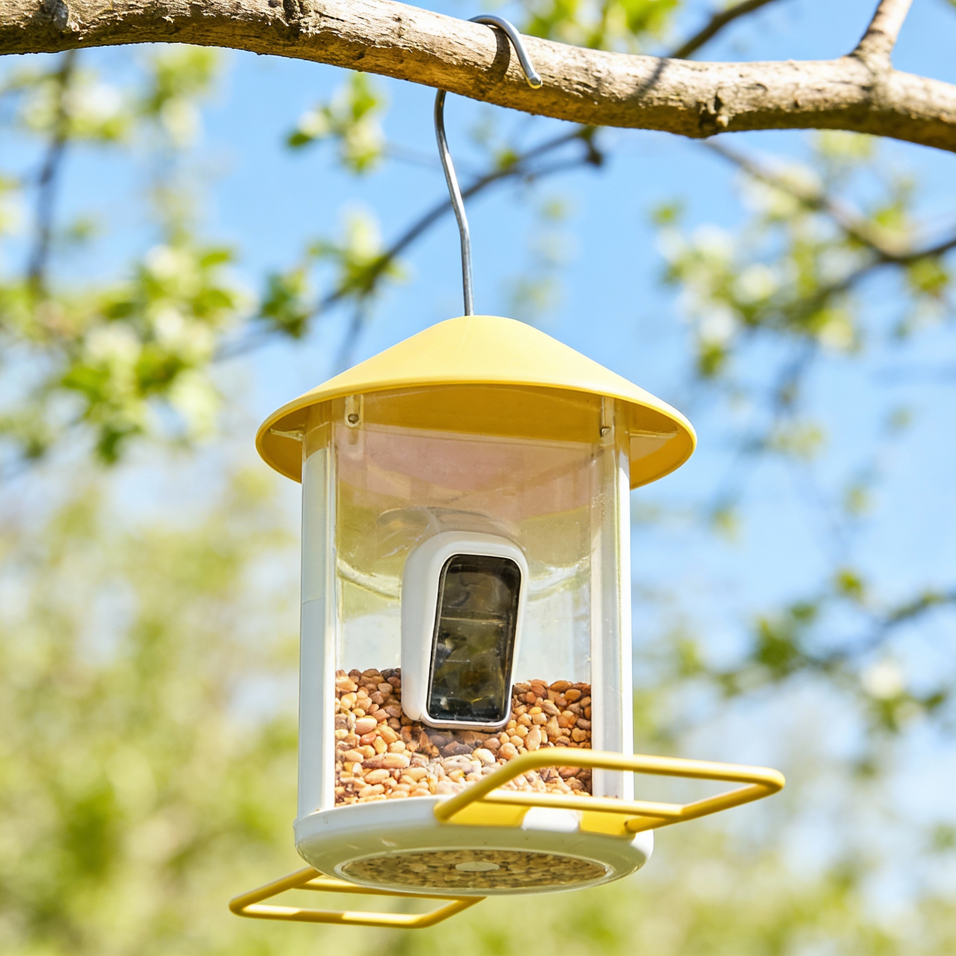 AI product photoshoot output